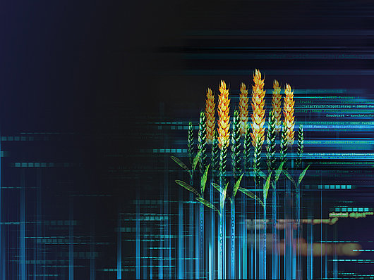 Gemeinsam wachsen: FarmFacts als Arbeitgeber Grafische Animation in dunkelblau mit Weizen